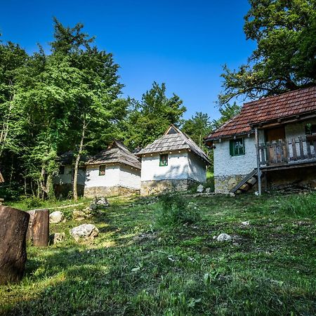 Camp Divlja Rijeka Hotel Hum Екстериор снимка